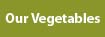 Los Pecanes's vegetable garden