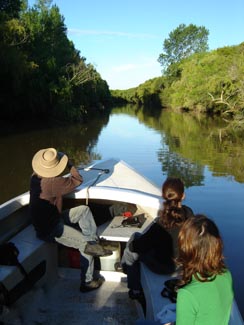 Explorando arroyos escondidos