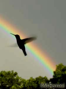 Después de la tormenta..